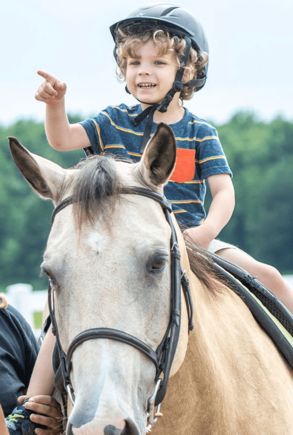 Hippotherapy 600x800